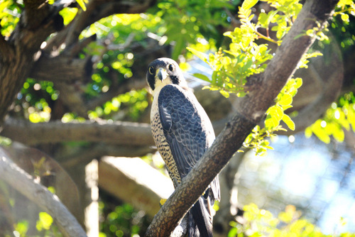 World of Birds Wildlife Sanctuary.